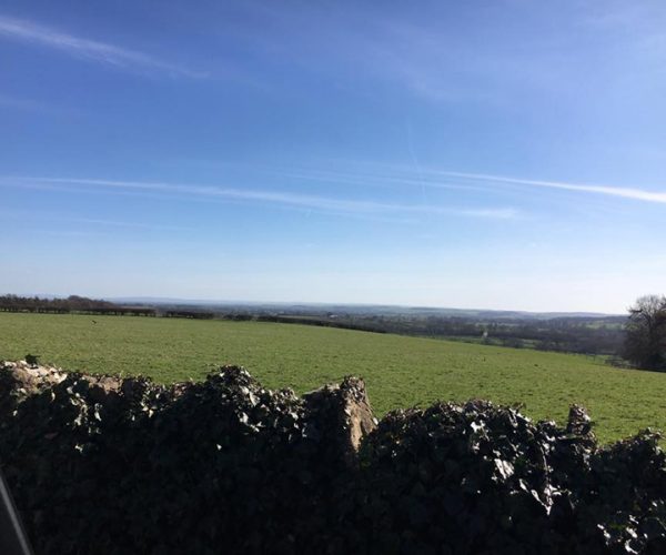 Cliff Stud Field